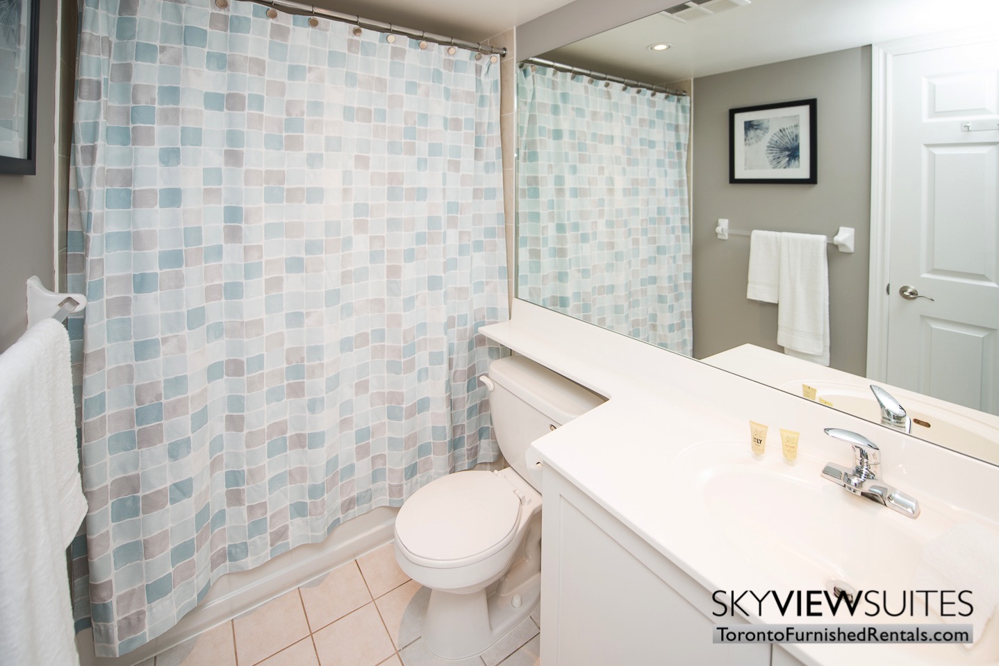 Wellington and Blue Jays Way executive rentals toronto bathroom