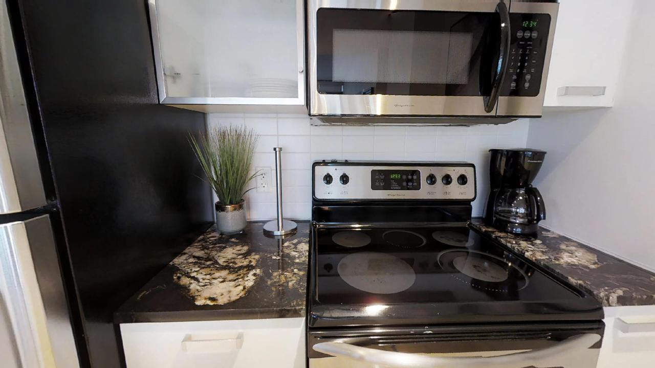 Stovetop and decorative plant in a toronto furnished condo, near bay and wellesley