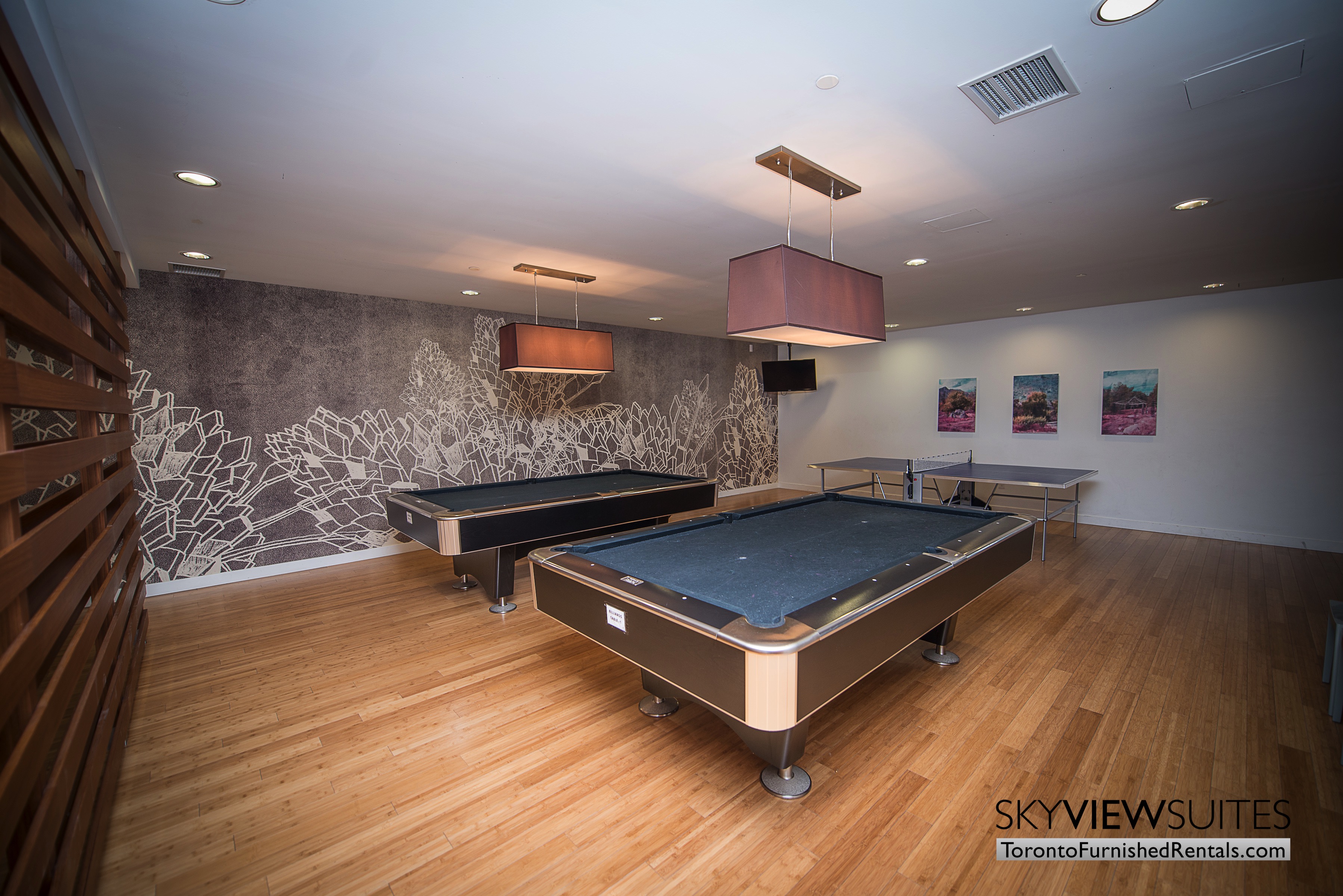 furnished apartments toronto parade amenities pool table